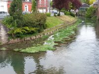 La Selle (cours d’eau)